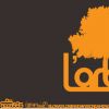 L'arbre