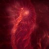 The Phear Within