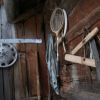 By humans