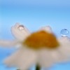 Macro