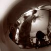 Artistic Photos