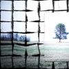 pieces of loneliness