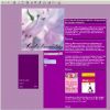 Webdesign