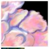 Experiments