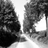 Spectral places