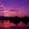 Colour