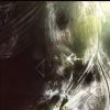 3D Abstract