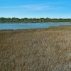 Day at St George Island