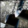 At the Park.