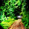 photo shop painting