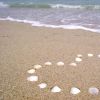 beach love