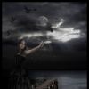 Dark