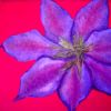 Colored Pencils