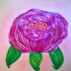 Colored Pencils