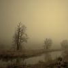 Nature and Scapes