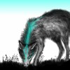 Photoshop