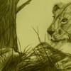 Pencil