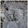 Grizzly Bear