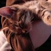 FUZZY LOVE