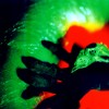 the Plasmazoid Experience
