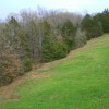 Backyard of MO