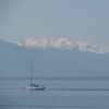 On the Water