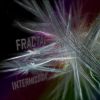 ENJOI FRACTALS
