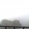 Landscape Pics