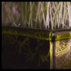 abstracts