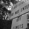 This and That