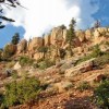 Utah's Art