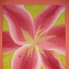 Paintings