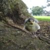 random photos