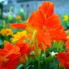 The Spring is On!!!