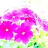 Spring!!!