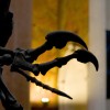 Natural History Museum, NY