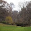 Central Park
