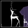 .camisetas * t-shirt.