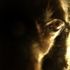 Photographs+