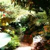 At the Butterfly Garden