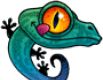 iguana