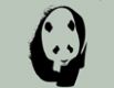 mohan