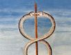 caduceus