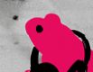 whatthefrog