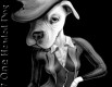 1headeddog
