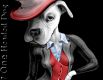 oneheadeddog