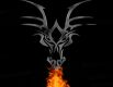 DragonXr