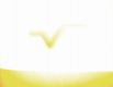 vertex