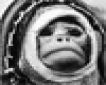 espeismonqui