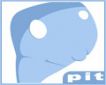 pit